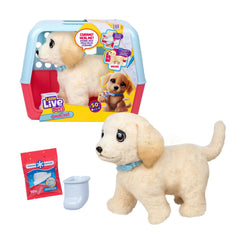 Little Live Pets Ouchies