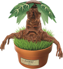 Harry Potter - Terrario Mandragola Kit per Creare la Leggendaria Mandragola
