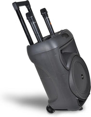 Cassa Amplificatore Trolley Karaoke con 2 Microfoni Wireless, luci RGB e display