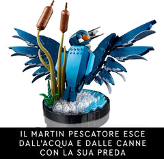 Lego Icons - Martin pescatore 10331