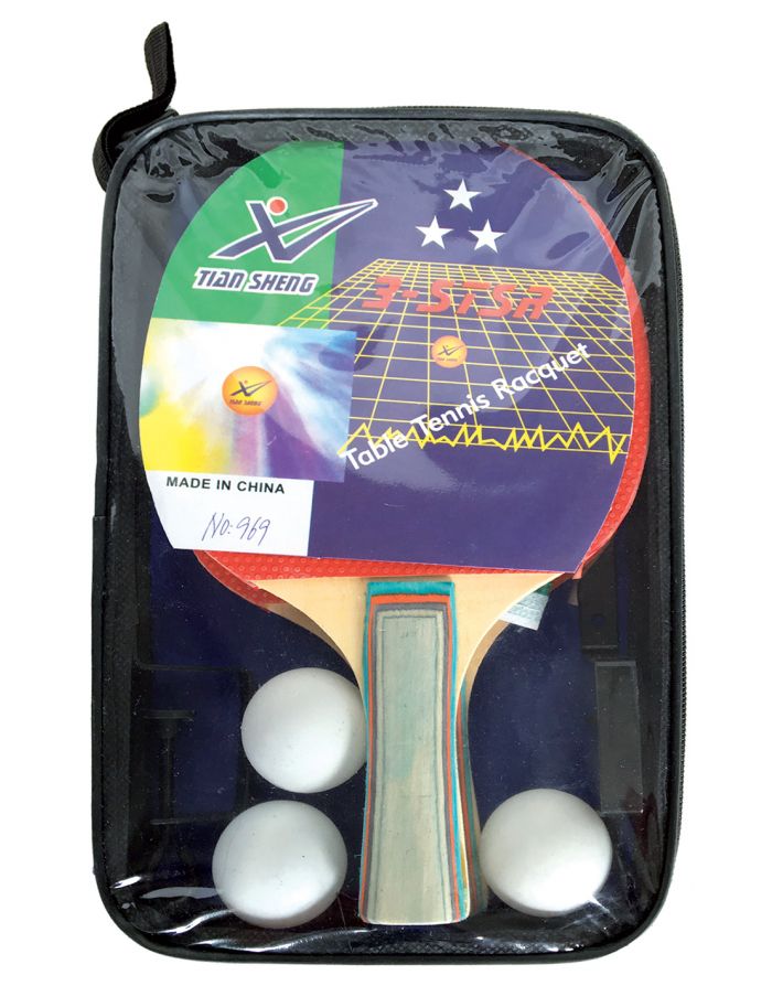 Set Ping Pong con rete e palline